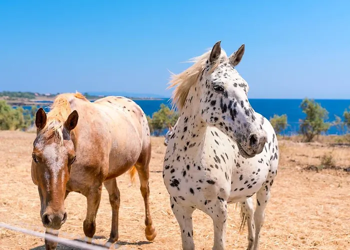 Skinos Ilivatos Eco & Estate